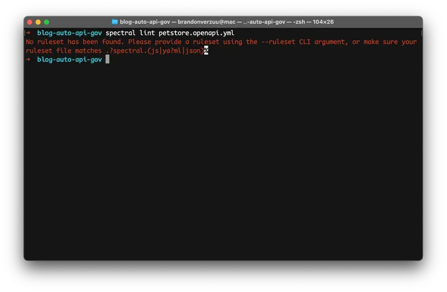 Running the lint command