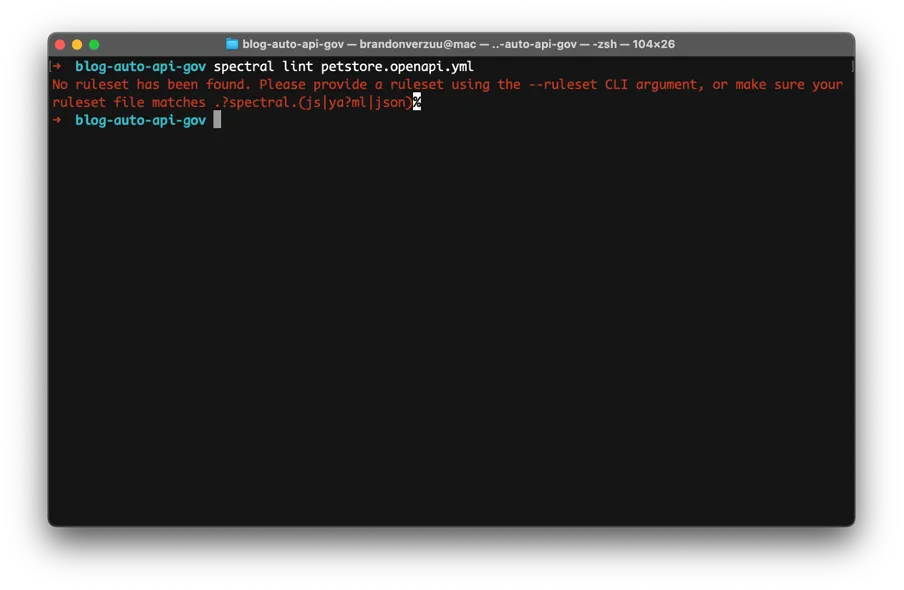 Running the lint command